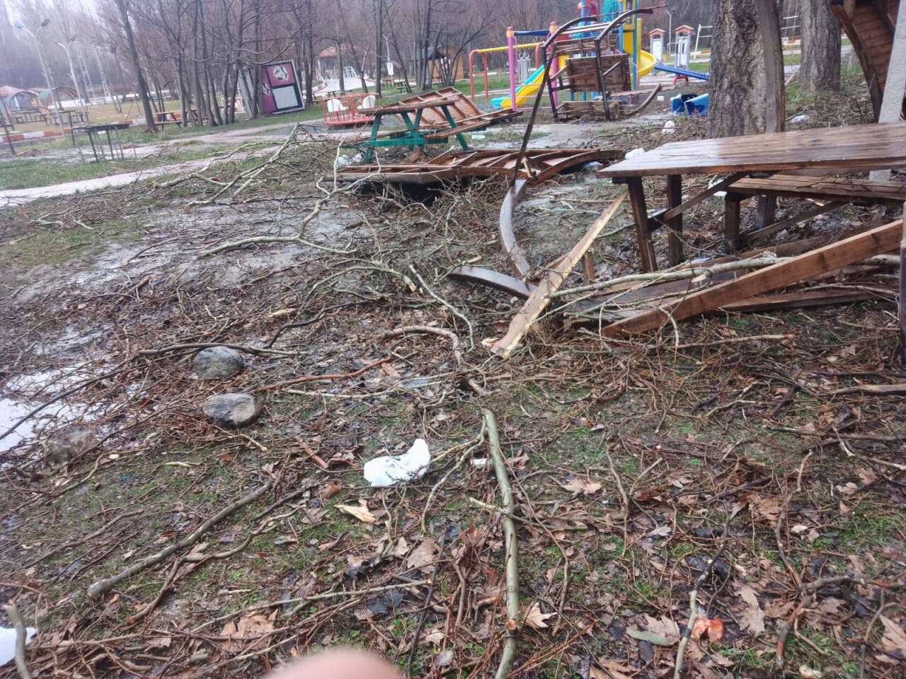 Konya’da 500 yıllık çınar ağacı rüzgara dayanamadı 8